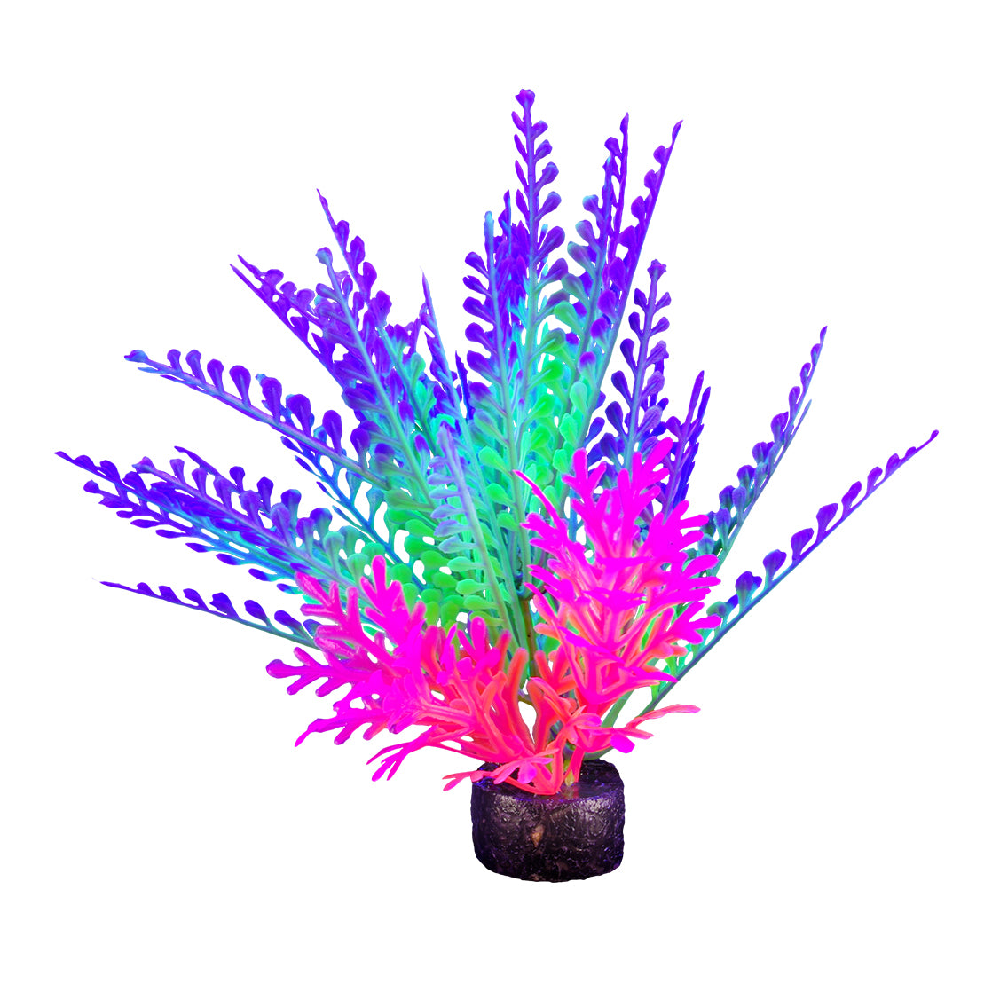 iGlo Glowing Plant Rainbow Sword 5.5 inch - Grandville, MI - Blue Fish ...