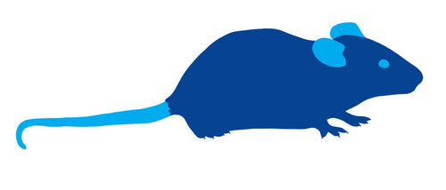 Frozen Feeder Adult Mouse - Medium