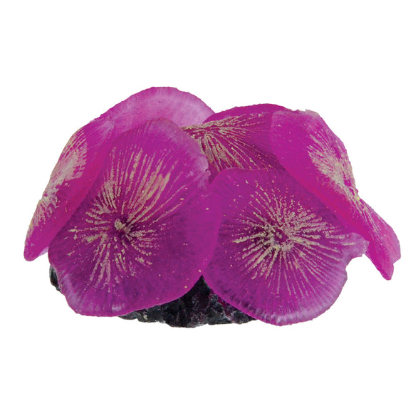 Ornament Coral Mushrooms - Purple