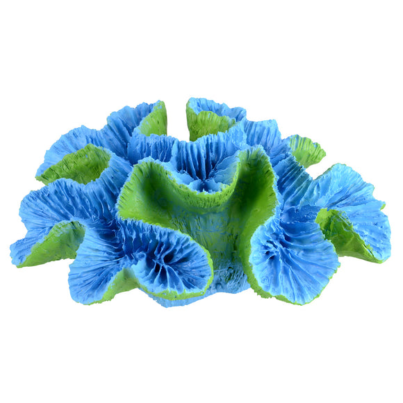 Ornament Open Brain Coral - Caribbean Island Blue