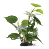 Fluval Plant Anubias 12 inches PP1601 fake 080605116016