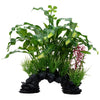 080605117013 PP1701 Fluval AQUAlife Curly Aponogeton Mix Plant - 10 inch aquarium plants cool looking with cave