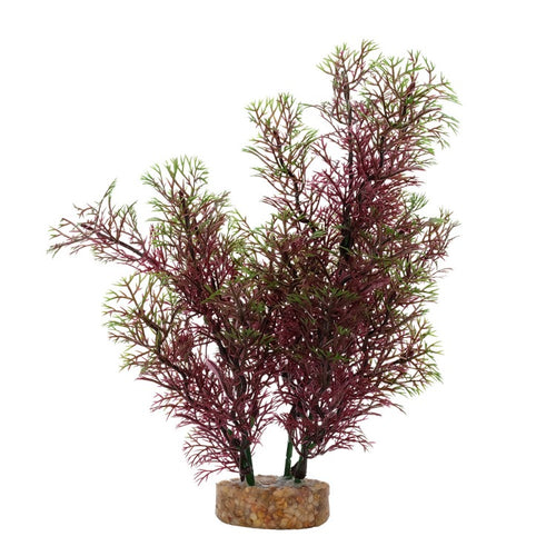 080605117235 PP1723 Fluval AQUAlife Red-Green Foxtail Plant - 8 inch