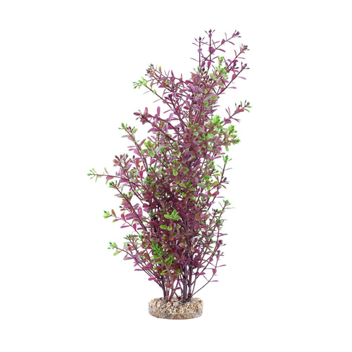 080605117358 PP1735 Fluval AQUAlife Red Rotala Plant - 10 inch PP1735