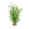 080605117389 PP1738 Fluval AQUAlife Green Myriophyllum Plant - 14 inch