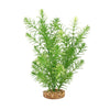 080605117396 PP1739 Fluval AQUAlife Green Myriophyllum Plant - 10 inch plastic fish tank weed weeds