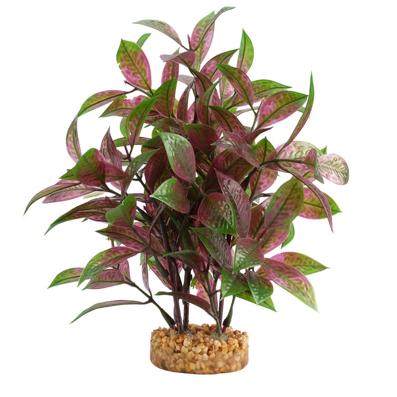 080605117402 PP1740 Fluval AQUAlife Broad Leaf Red Ludwigia Plant - 8 inch