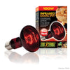 Exo Terra Night Infrared Basking Spot Lamps max heat bulb bulbs red best pt2144 015561221443 100W 100 watts