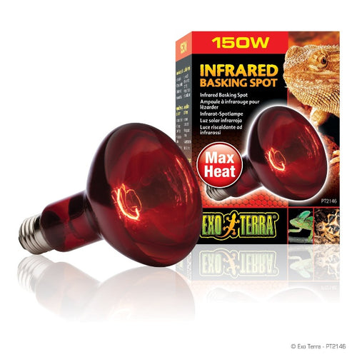 PT2146 015561221467 exo terra reptile infrared basking spot lamp red night time 150 watt 150w