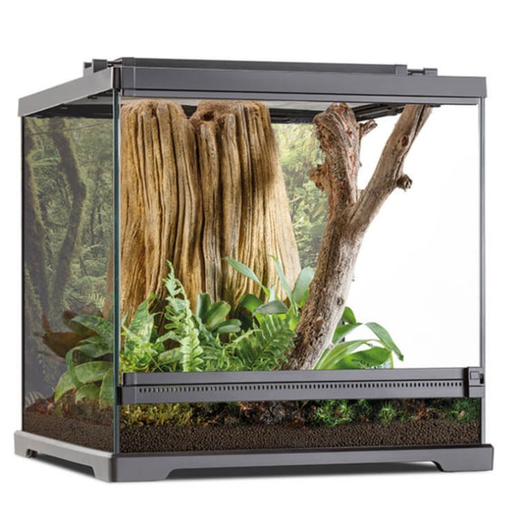 Exo Terra Advanced Dart Frog Glass Terrarium 18x18x18 Frogs and & Co PT2475 015561227452 small/wide small wide 18 inch