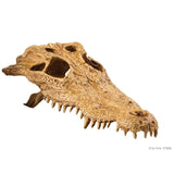 Exo Terra Crocodile Skull Hideout alligator 015561228565 PT2856 terrarium glass cage snake gecko