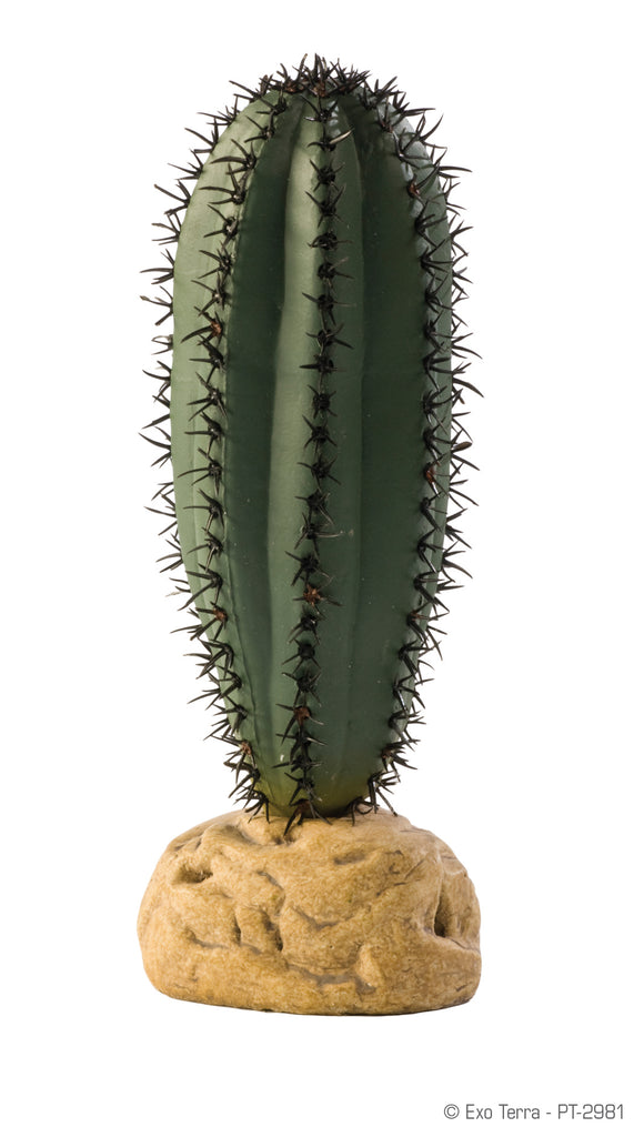  PT-2981 015561229814  Saguaro cactus plastic plant exo-terra exo terra