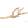 PT3076 Forest Branch 015561230766 Medium reptile wood grapevine twig terrarium vine