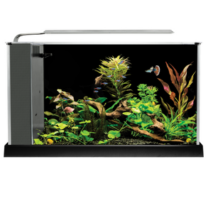 015561105187 015561105163 10518 10516 fluval SPEC V 5 Gallon Black White Aqurium kit