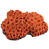 Ornament Coral Orange Sun Coral