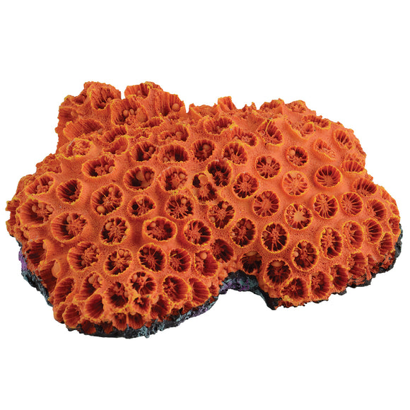 Ornament Coral Orange Sun Coral