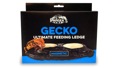 Pangea Gecko Ultimate Magnetic Feeding Ledge