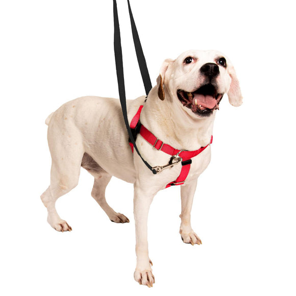 2 Hounds Freedom No-Pull Harness - Red