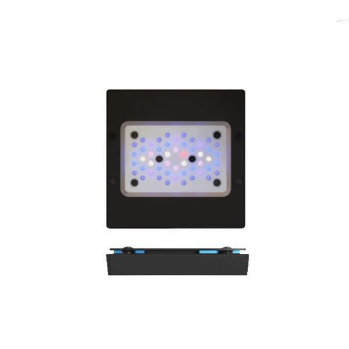 ecotech marine Radion XR15 G6 BLUE LED Fixture