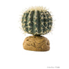pt2980 015561229807 exo terra plastic terrarium plant barrel cactus small