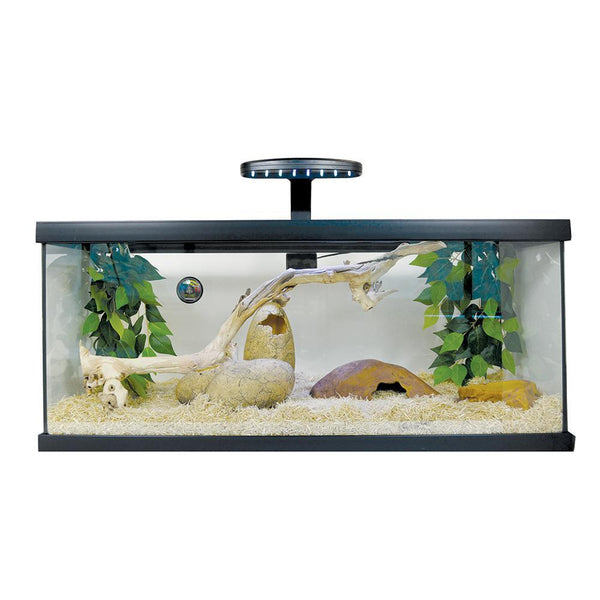 Exo Terra Snake Terrarium Starter Kit 30x12x12
