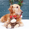 ZippyPaws Holiday Crinkles Reindeer Plush Dog Toy