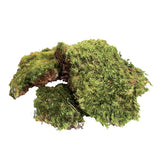 Zoo Med Frog Moss Substrate 80 cu in