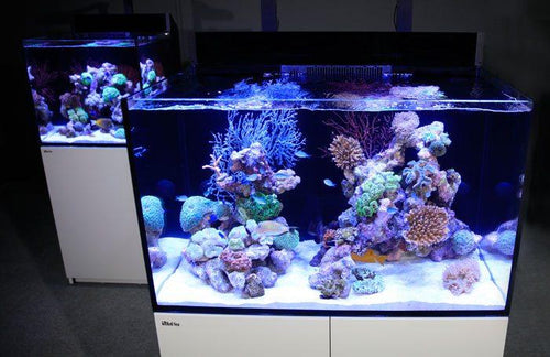 Red Sea MAX E-260 Complete Reef System with ReefLED 90 Lighting & Sump