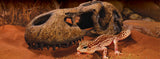 Exo Terra T-Rex Skull Hideout - Large